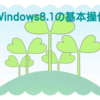 windows8.1