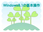 windows8.1